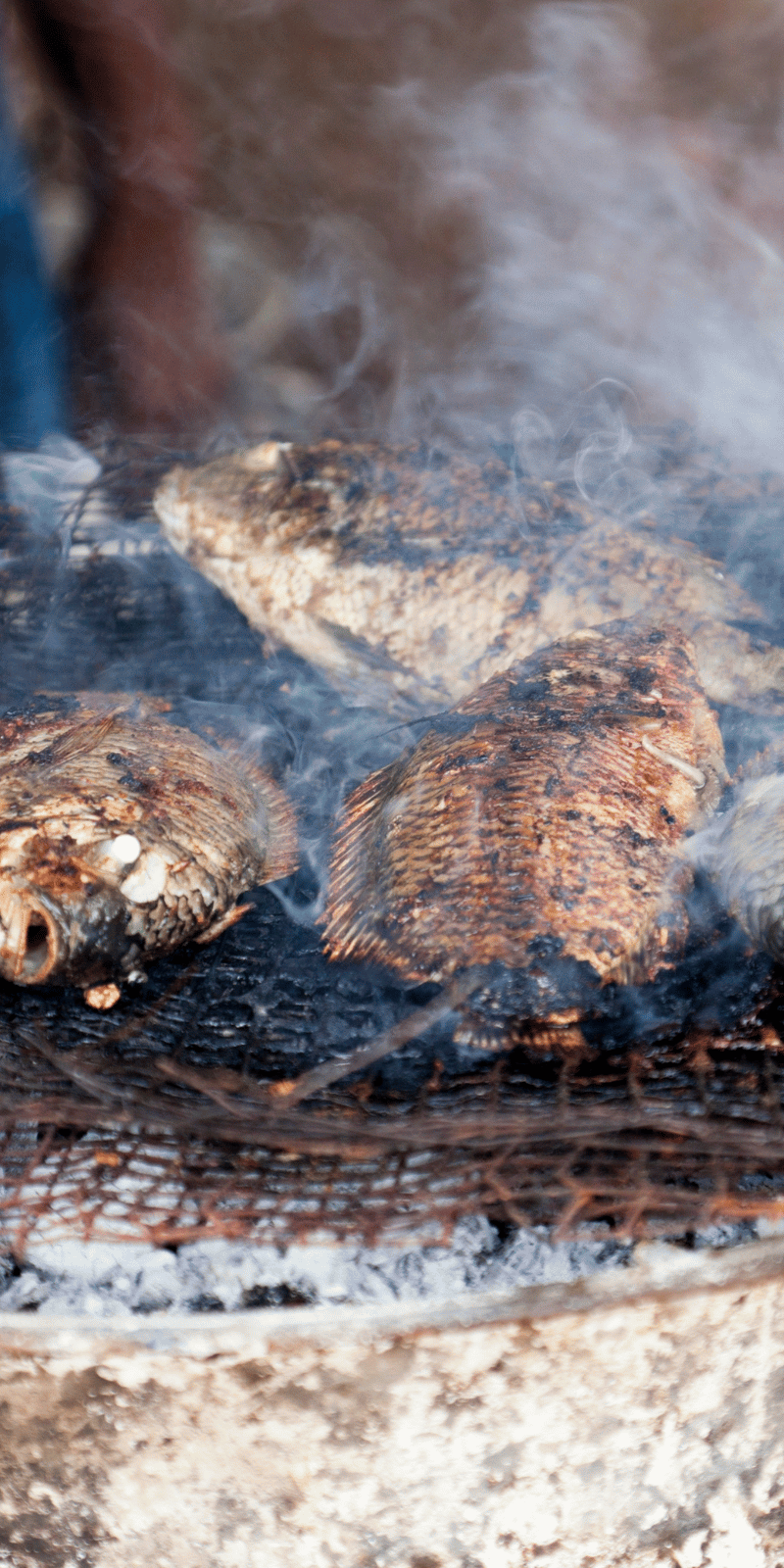 Charcoal-grilled fish.