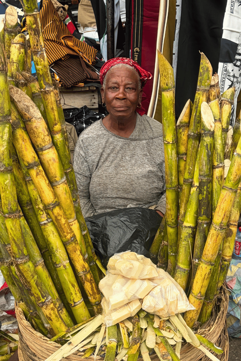 Cut sugarcane.